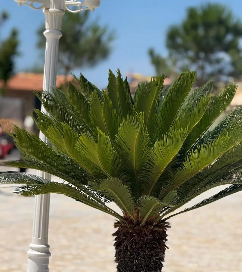 Hotel Grand Resort By Greccia Dhermi Prime Himarë